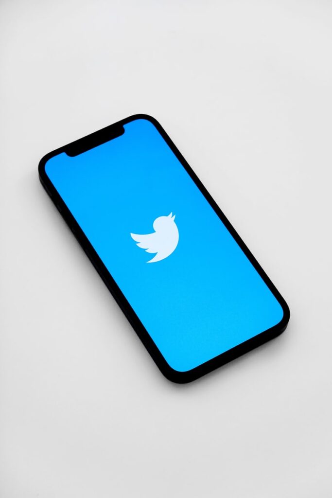Twitter Suspension in Nigeria: Some Key Policy & Legal Considerations for Web Platforms 2025